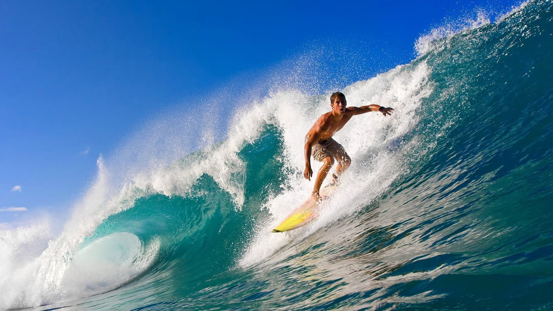 体育界最大转会消息